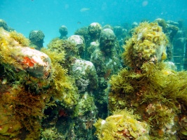 Sculptures in the MUSA IMG 3415